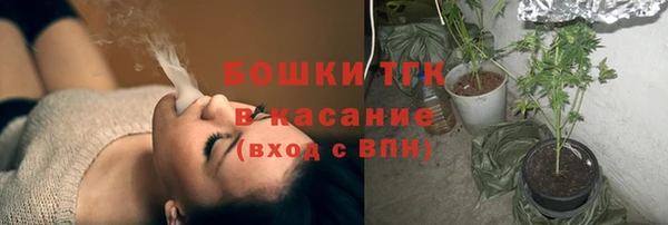 таблы Сосновка