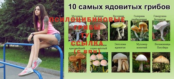 ALPHA PVP Беломорск