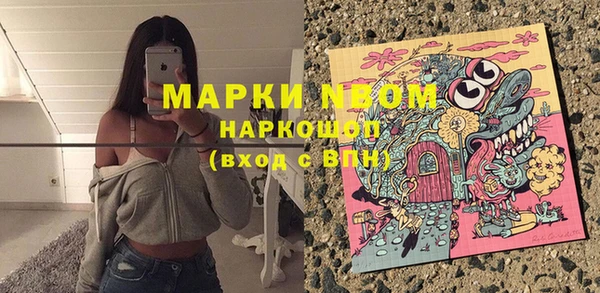 прущие грибы Белоозёрский