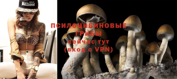 ALPHA PVP Беломорск