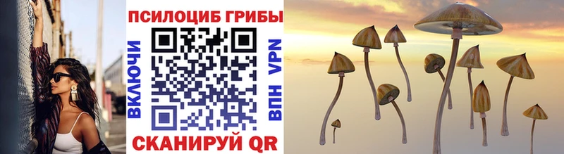 Псилоцибиновые грибы Cubensis  МЕГА ТОР  Козьмодемьянск  как найти закладки 